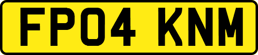 FP04KNM
