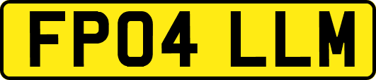 FP04LLM