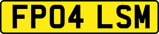 FP04LSM
