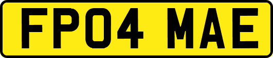 FP04MAE