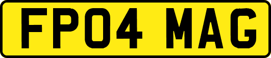 FP04MAG