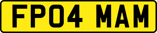 FP04MAM