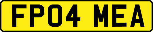 FP04MEA