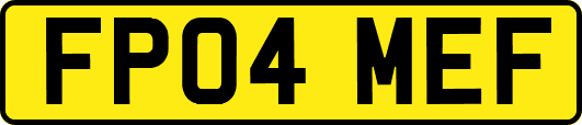 FP04MEF