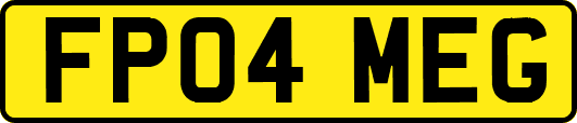FP04MEG