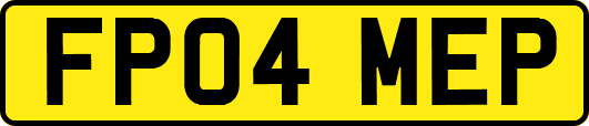 FP04MEP