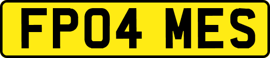 FP04MES