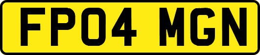 FP04MGN