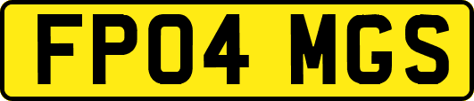 FP04MGS