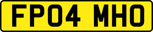 FP04MHO