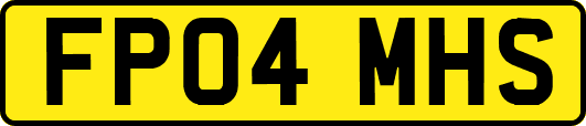FP04MHS