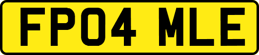 FP04MLE