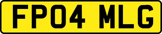FP04MLG