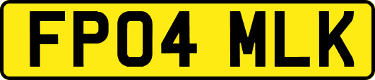 FP04MLK