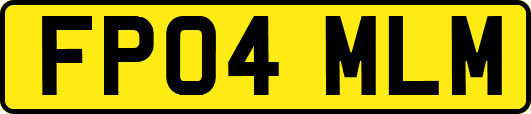 FP04MLM