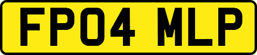 FP04MLP