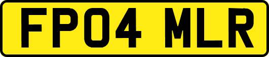 FP04MLR