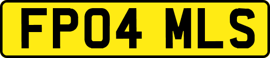 FP04MLS
