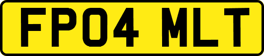 FP04MLT