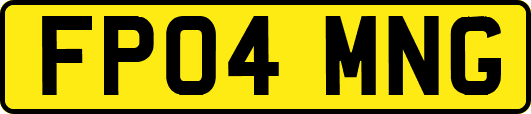 FP04MNG