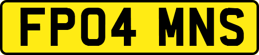 FP04MNS
