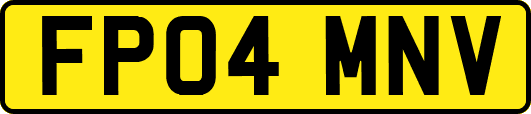 FP04MNV