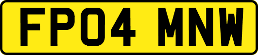 FP04MNW