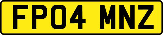FP04MNZ