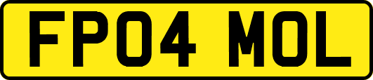 FP04MOL