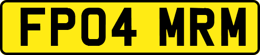FP04MRM