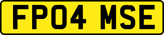 FP04MSE