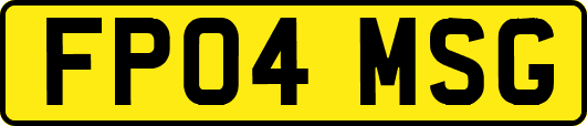 FP04MSG