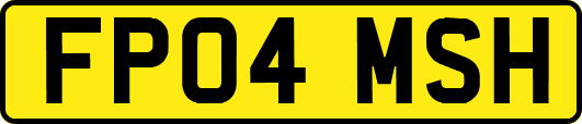 FP04MSH