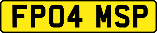FP04MSP