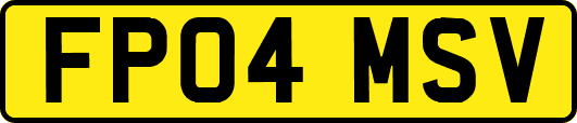 FP04MSV