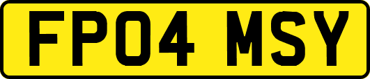 FP04MSY