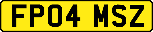 FP04MSZ