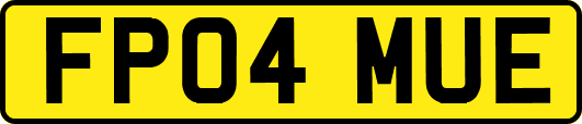 FP04MUE