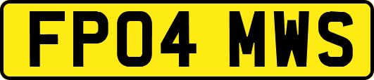 FP04MWS