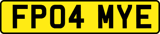 FP04MYE