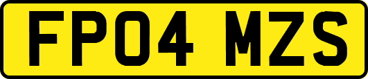 FP04MZS