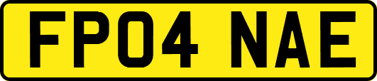 FP04NAE