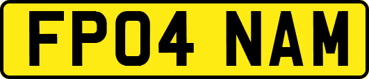 FP04NAM