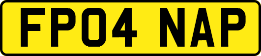 FP04NAP