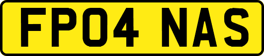 FP04NAS
