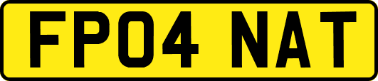 FP04NAT
