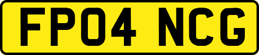 FP04NCG