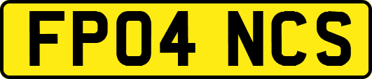 FP04NCS
