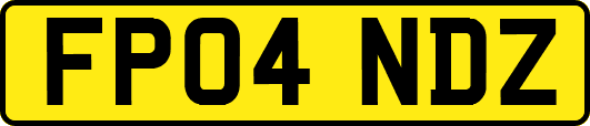 FP04NDZ