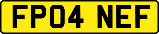 FP04NEF